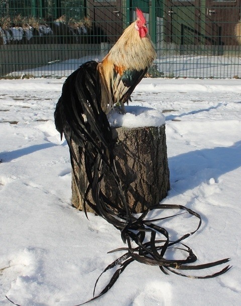 IJOW8QWN63k.jpg