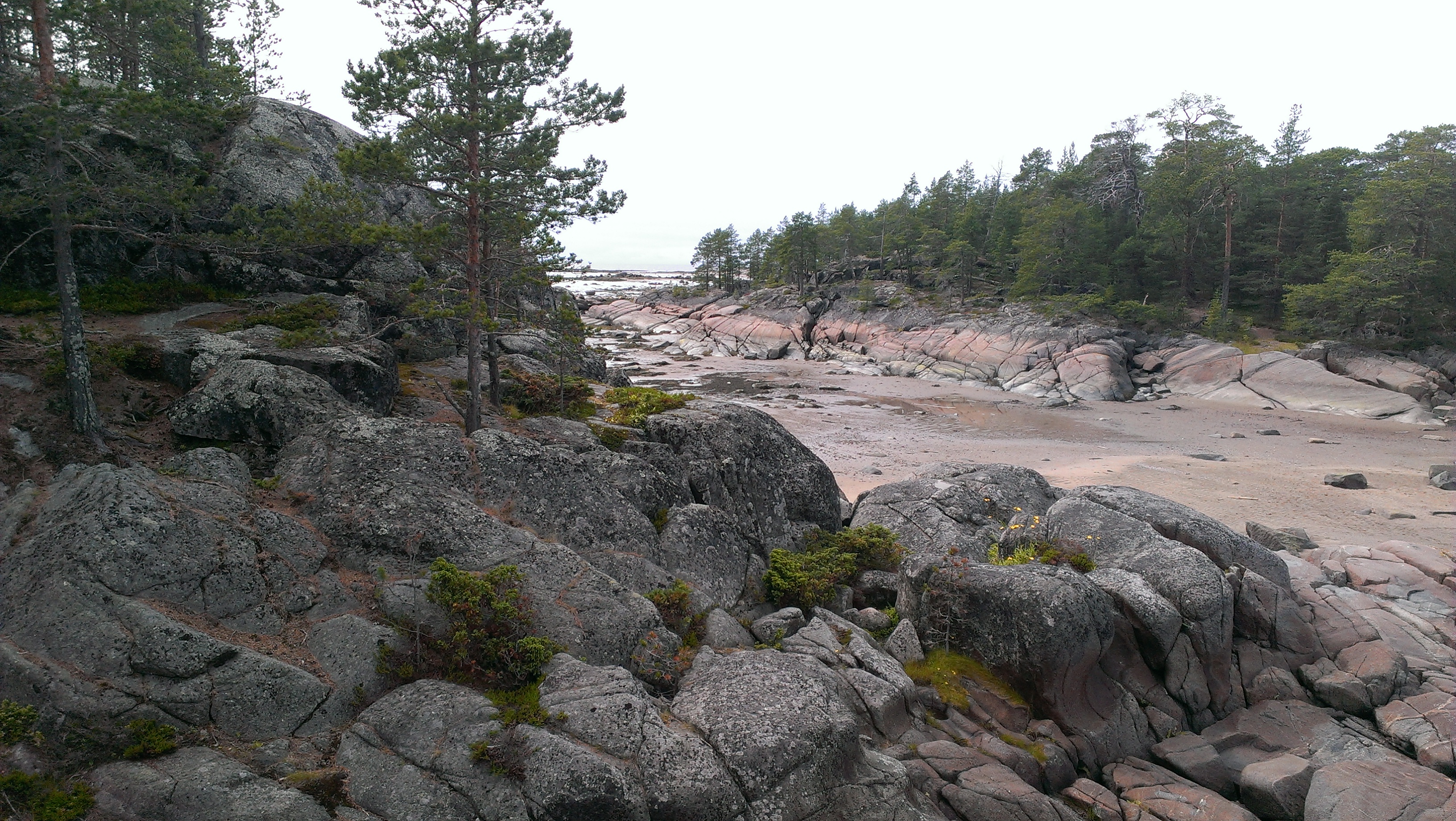 IMAG0362.jpg