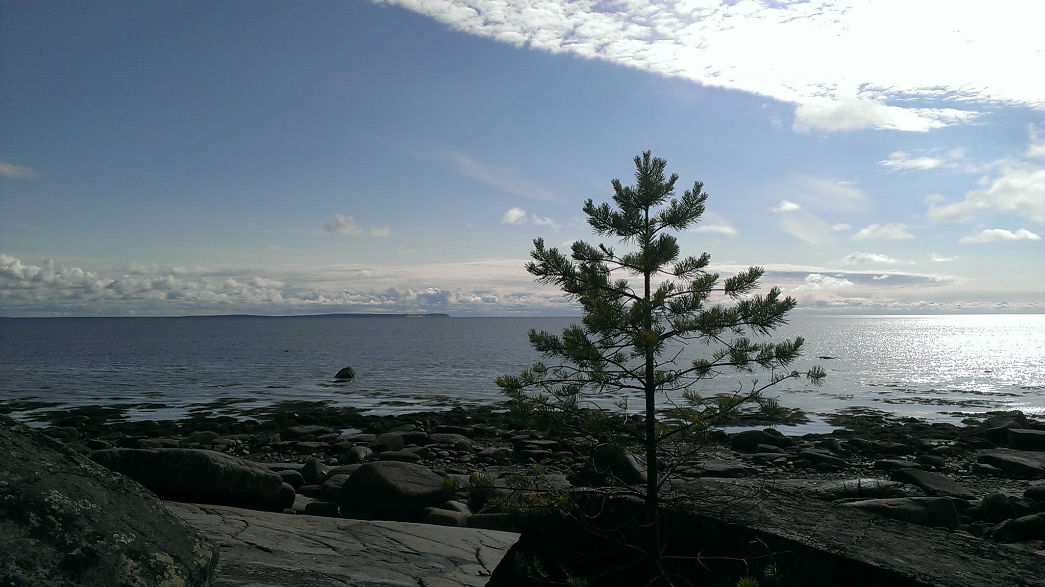 IMAG0450.jpg