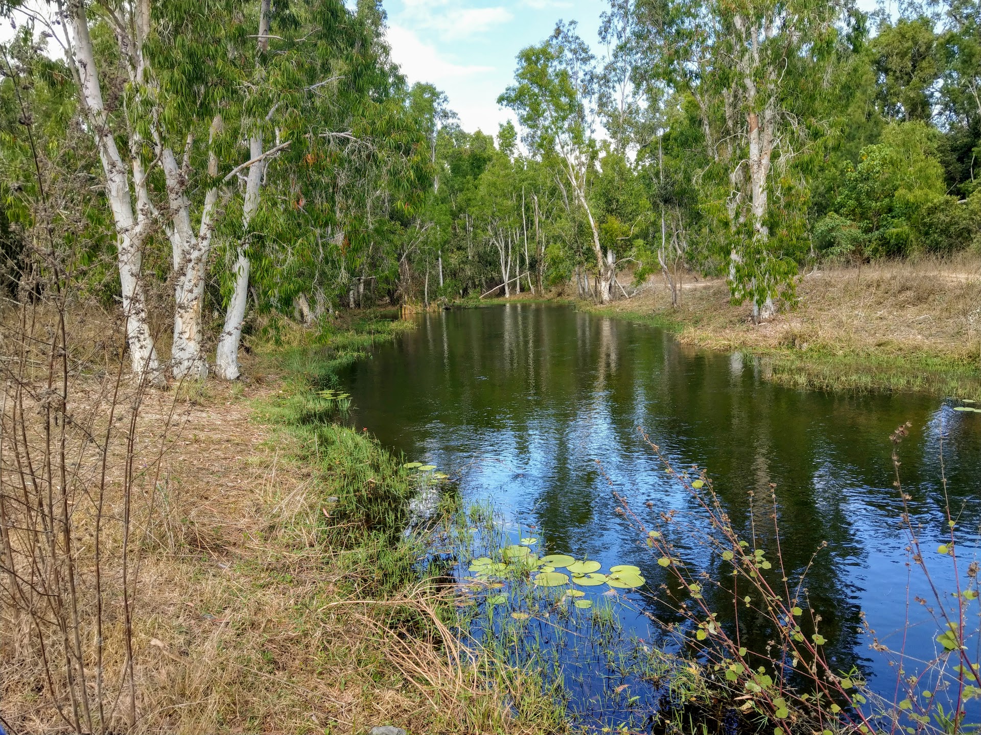 IMAG0476.jpg