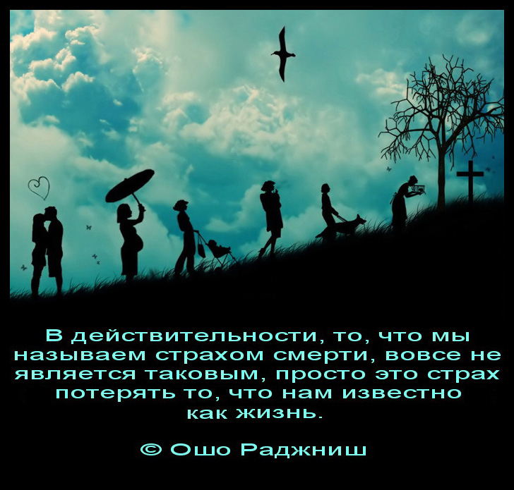 image (1).jpg