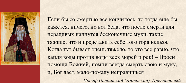 image (11).PNG