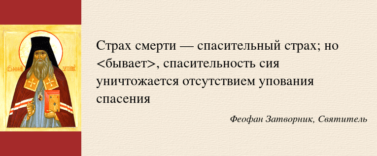 image (14).PNG