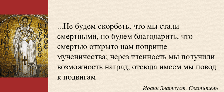 image (17).PNG