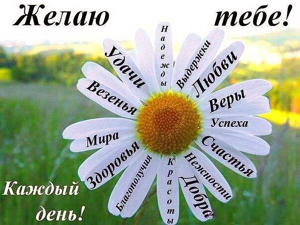image (2).jpg
