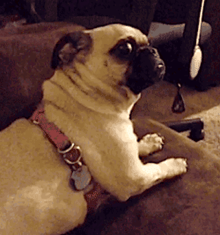 image.gif