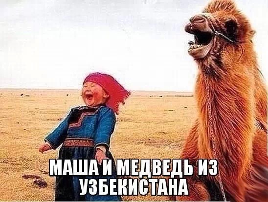 image.jpeg
