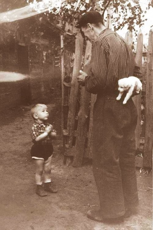 image.jpg