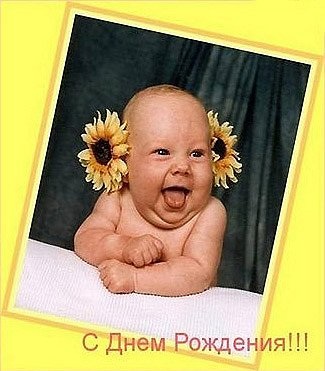 image.jpg