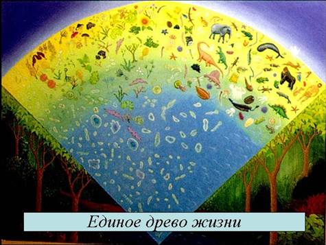 image001.jpg