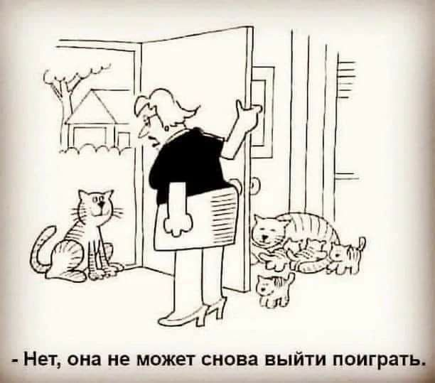 image_138971.png