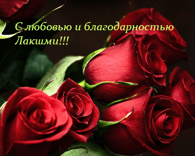 image_5.jpg