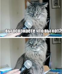 imagesу3ч.jpg