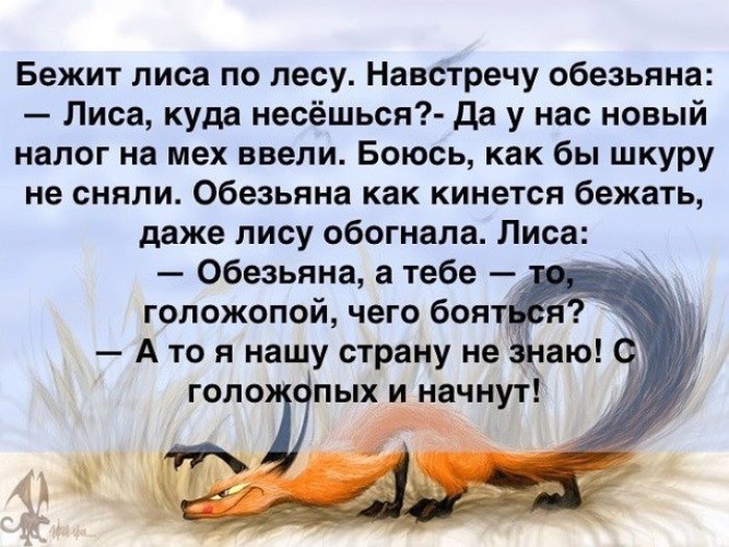 IMG-20190523-WA0024.jpg