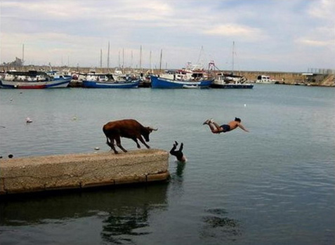 img04.jpg