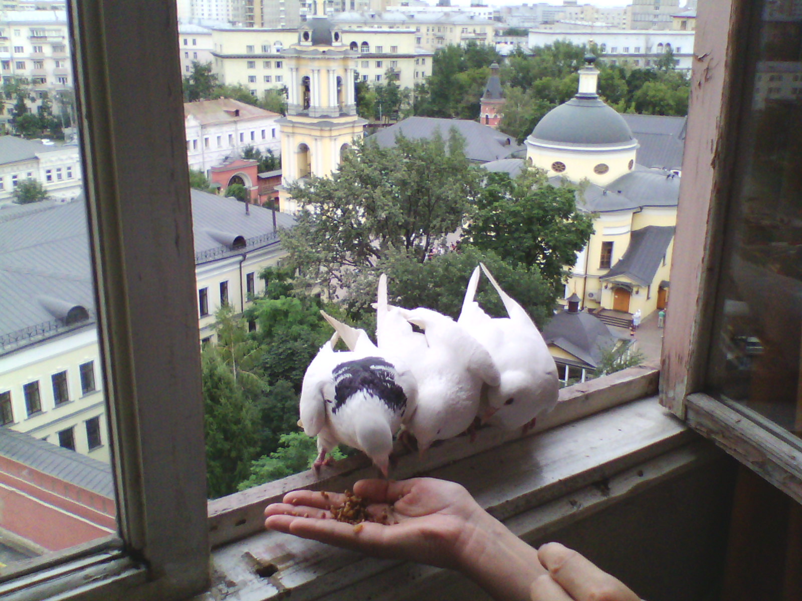 IMG10017.jpg