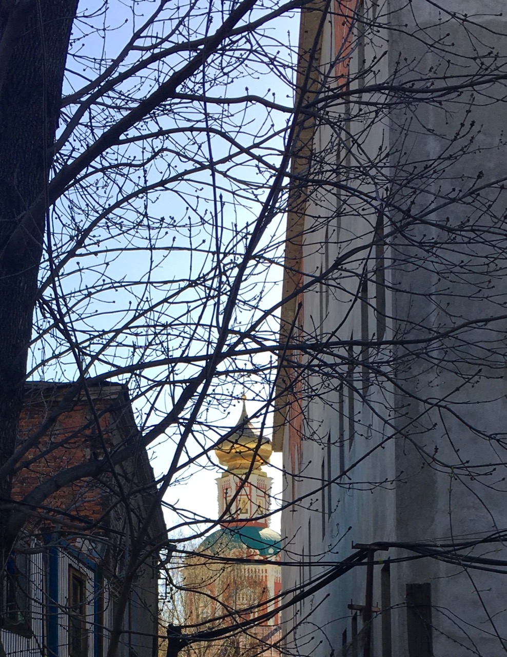 IMG_0054.jpg