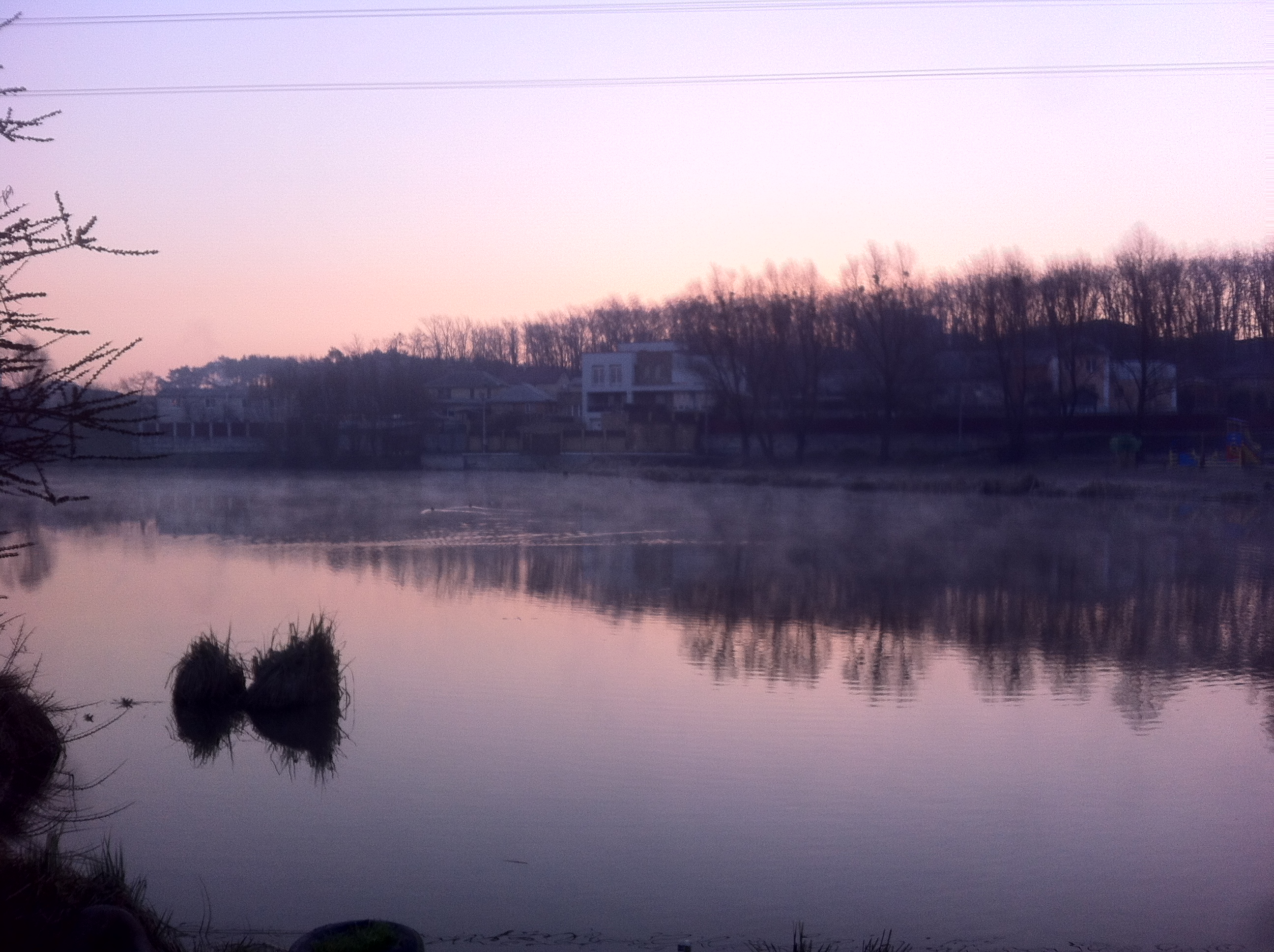 IMG_1520.JPG