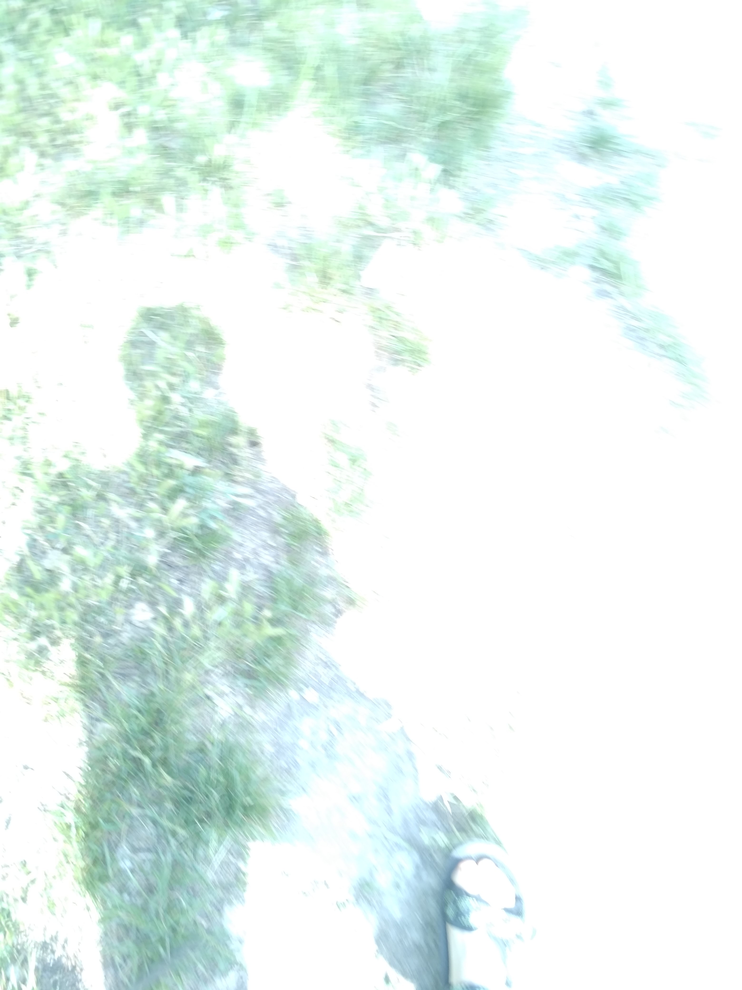 IMG_20180621_154838.jpg