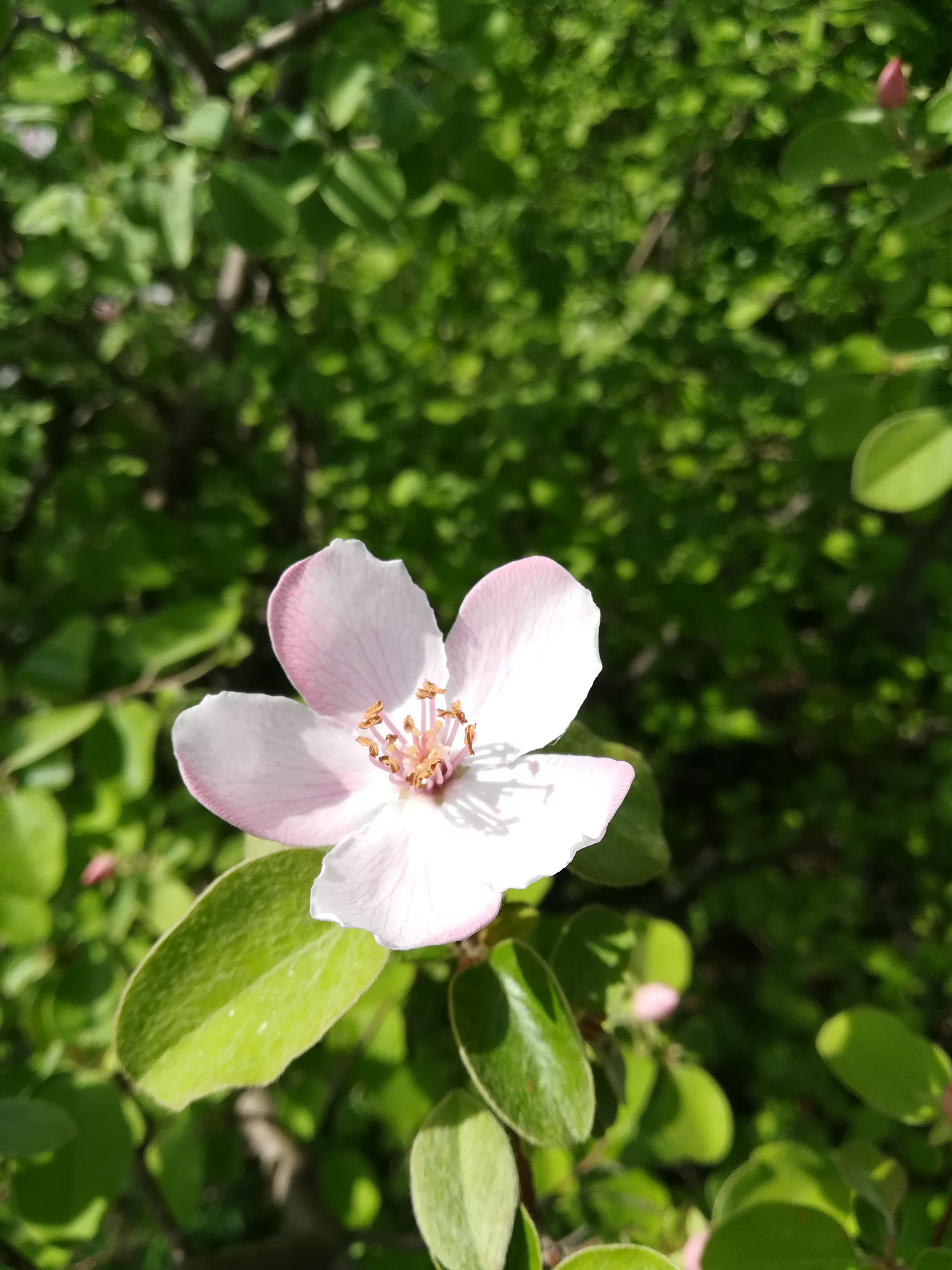 IMG_20190506_091037.jpg