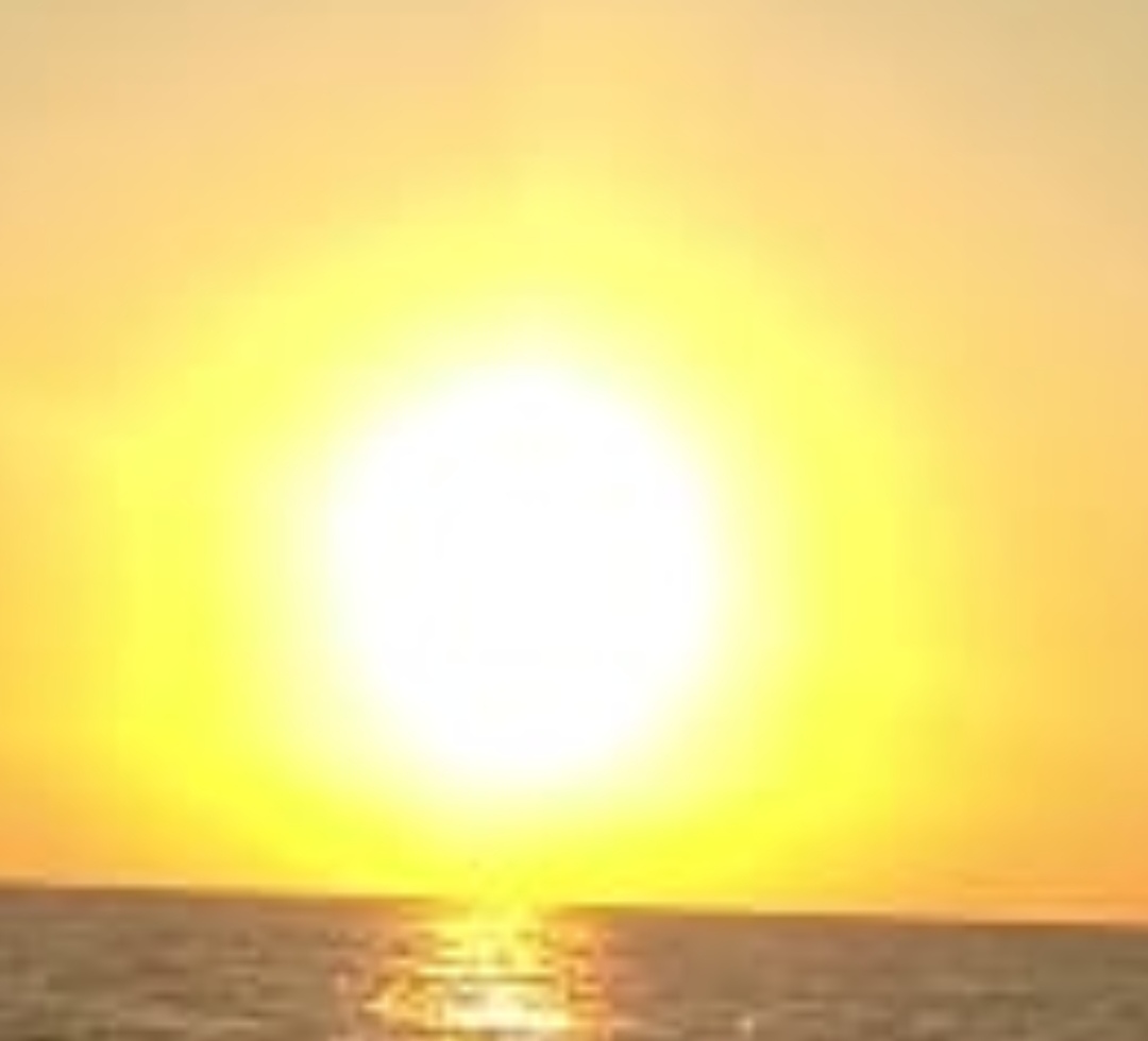 IMG_20190802_234846.jpg