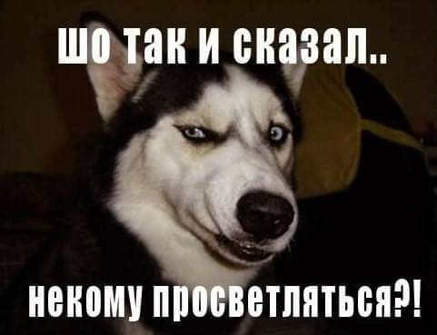 IMG_20211212_202207.jpg