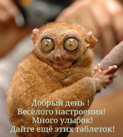 IMG_20220130_165429.jpg