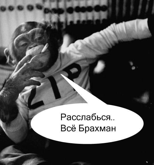IMG_20240115_210600.jpg