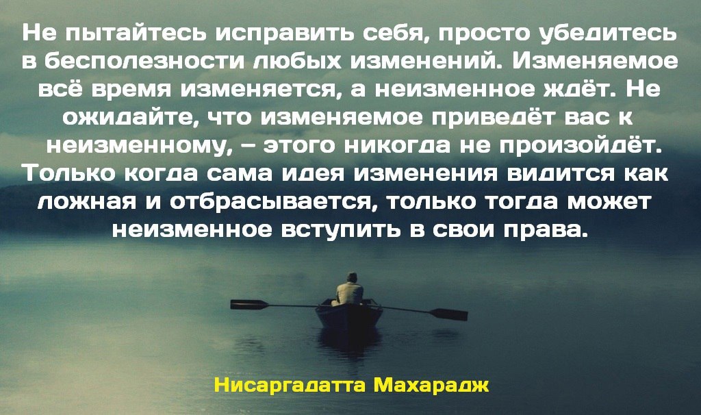 IMG_20241108_091734_941.jpg