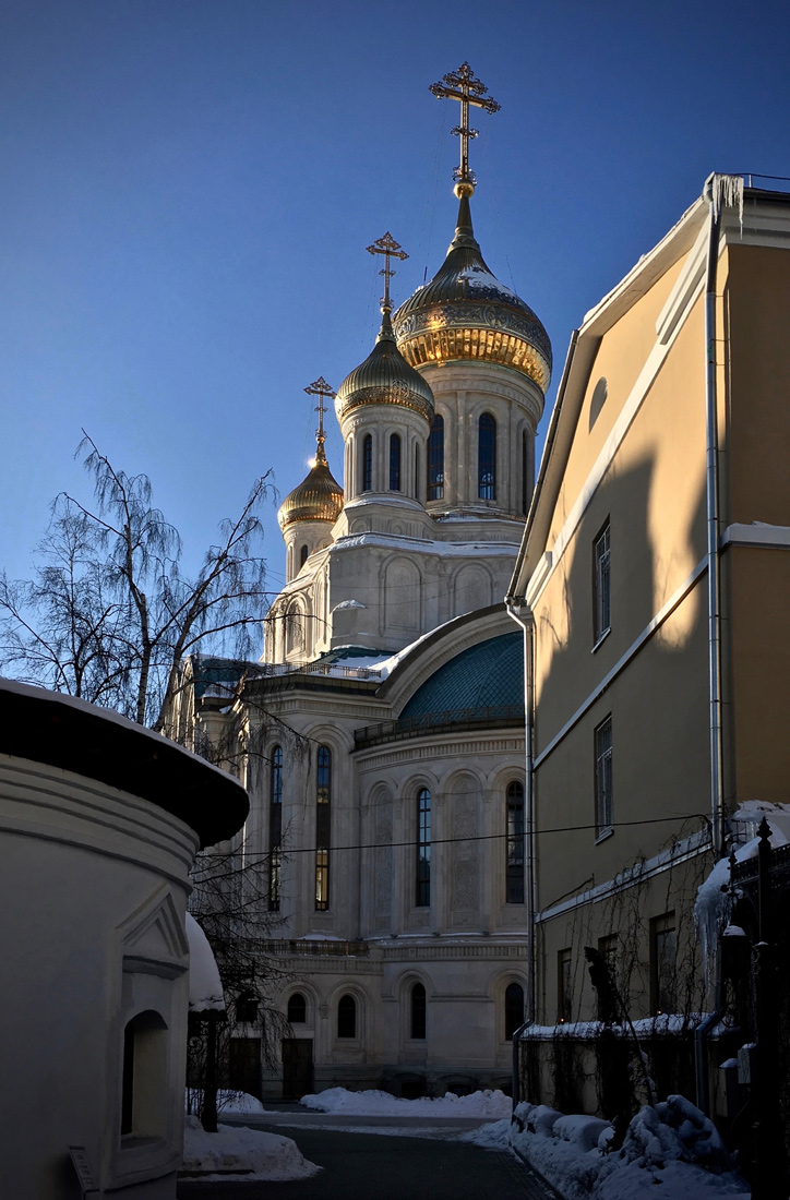 IMG_8881.jpg