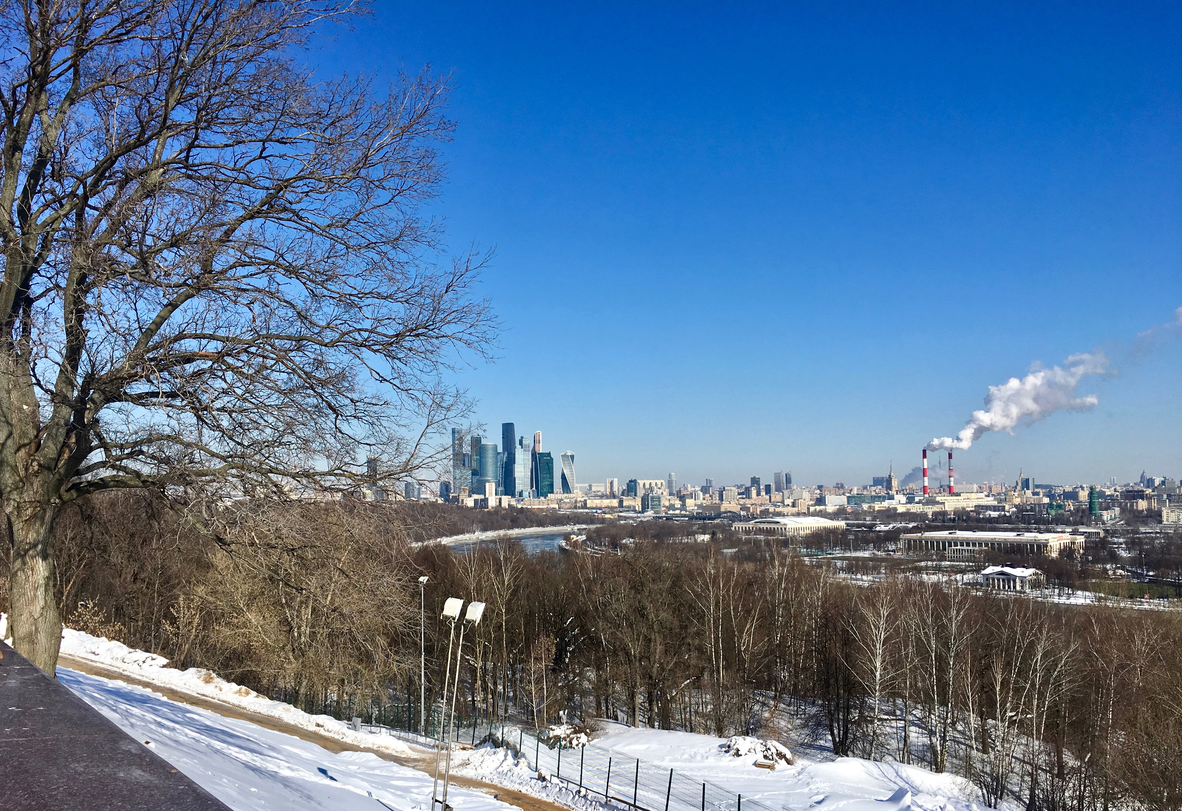 IMG_9315-23.55.11.jpg