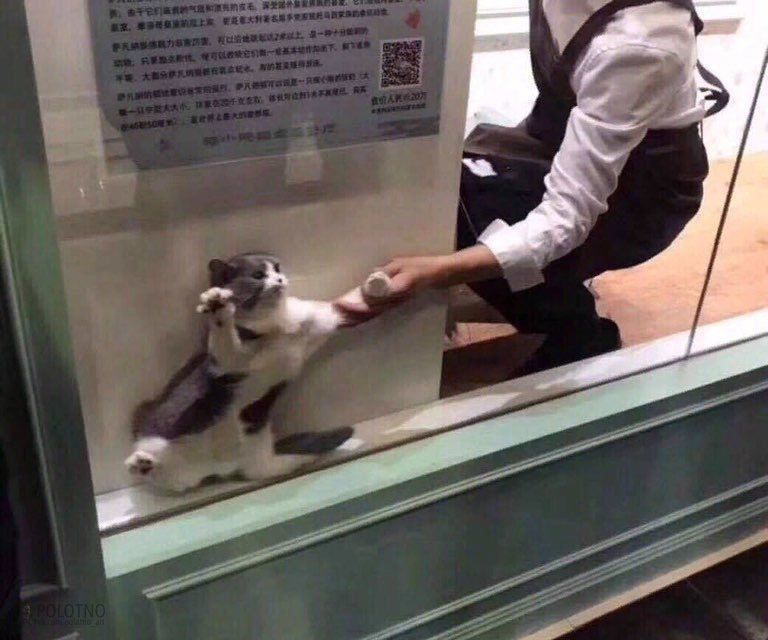 IwmQsauEqJc.jpg