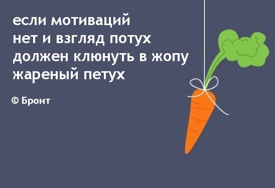 -iYQIJyw4Ko.jpg