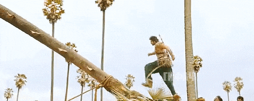 jc9bw6cj.gif