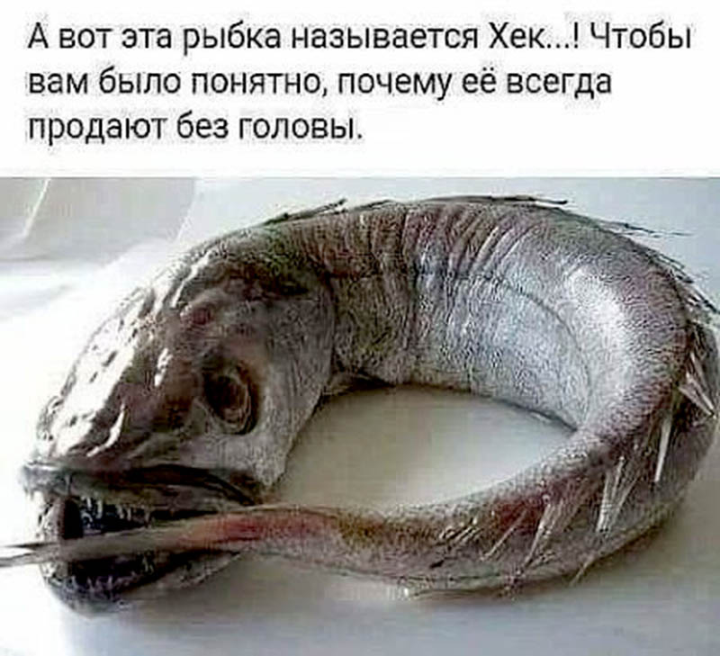 jFgmFsUO-ZU.jpg