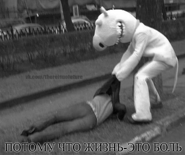 jI13wc6ODcE.jpg