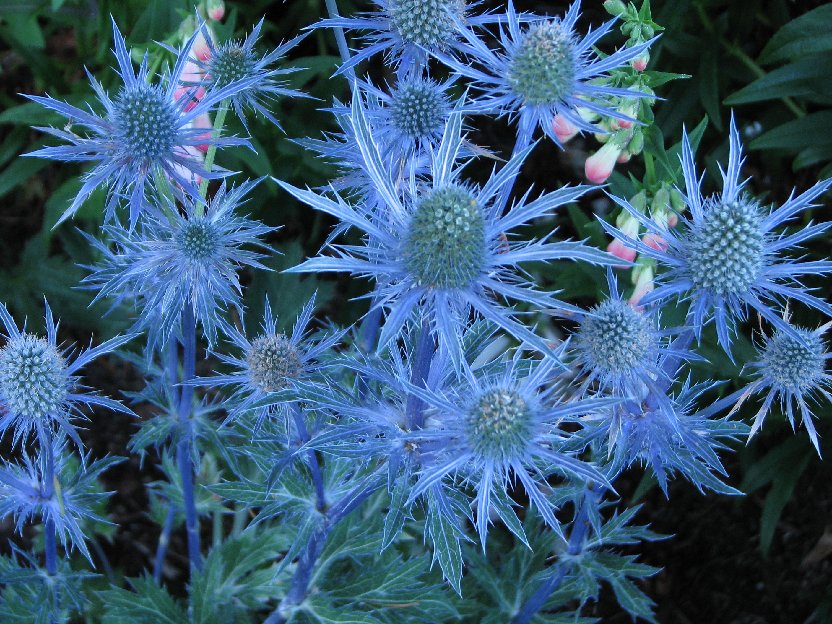 July-2008-144.jpg