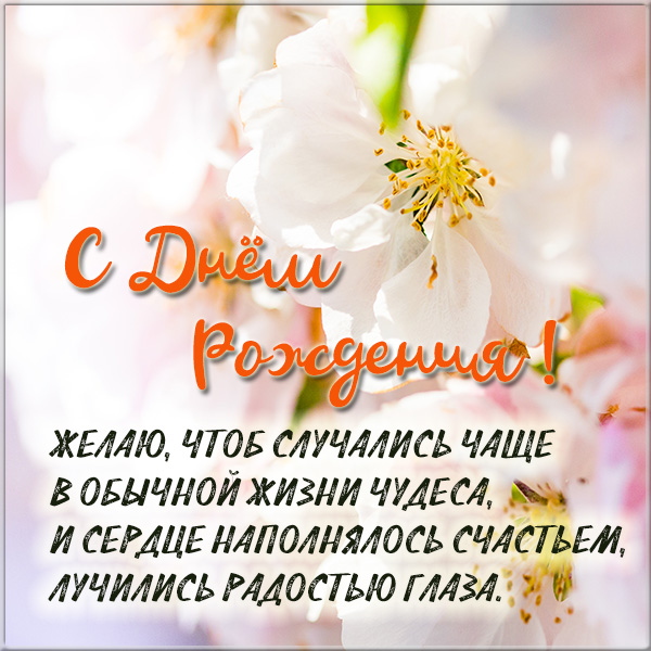 kartinka-s-pozdravleniem-zhenschine-na-den-rozhdeniya.jpg