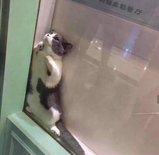 KnjKF6RFzcA.jpg