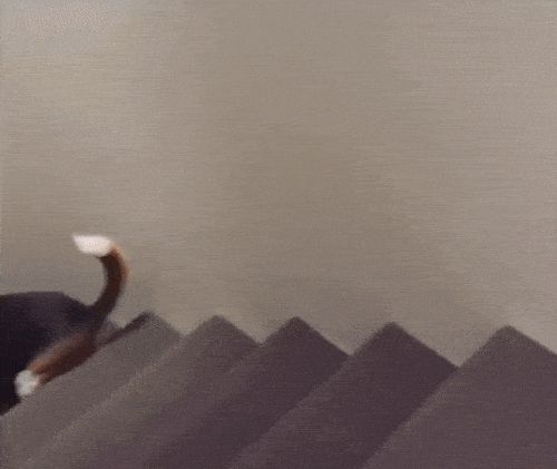 korotkobomne.gif