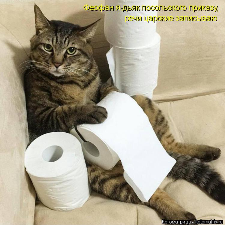kotomatritsa_j6.jpg
