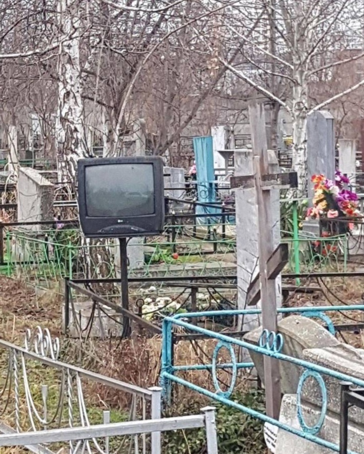 l6TELq7pz4M.jpg