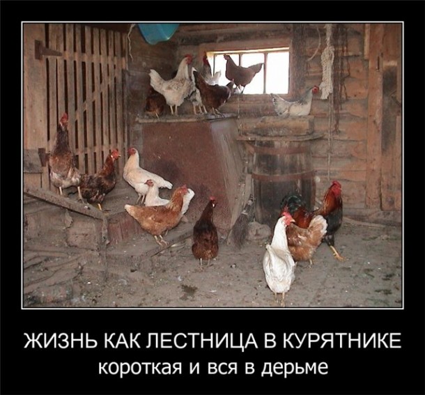 Lestnica-v-kuryatnike-610x567.jpg