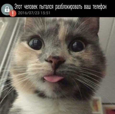 lmclgd5jkqu.XjCuW.jpg