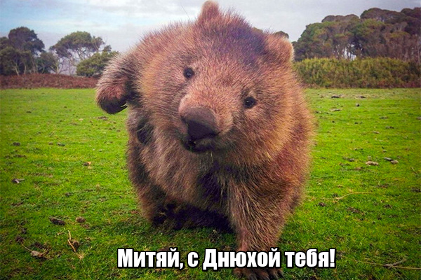 lol1580684650.jpg