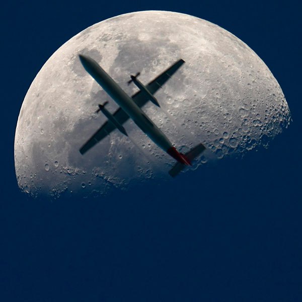 luna-australia_2010.jpg