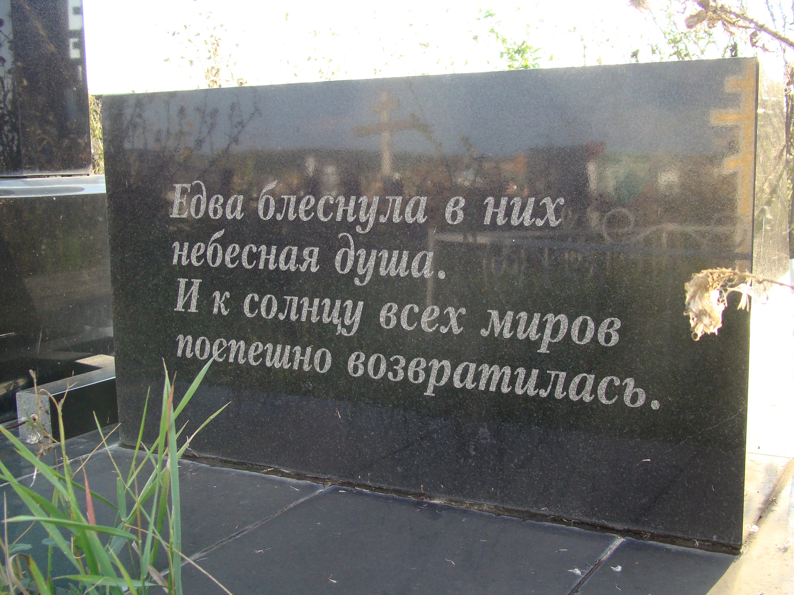 m2Fp_J9DC6g.jpg