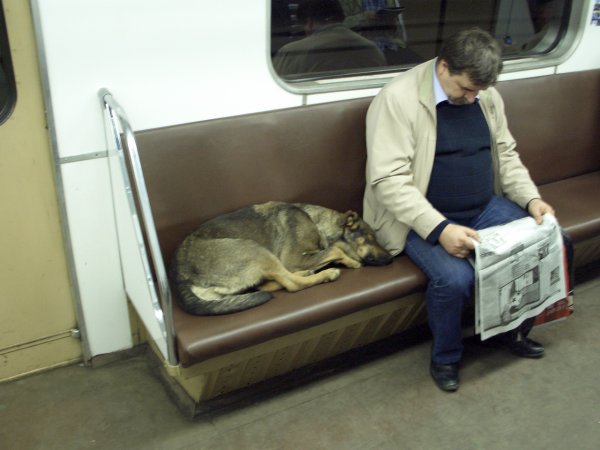 metro_00.jpg
