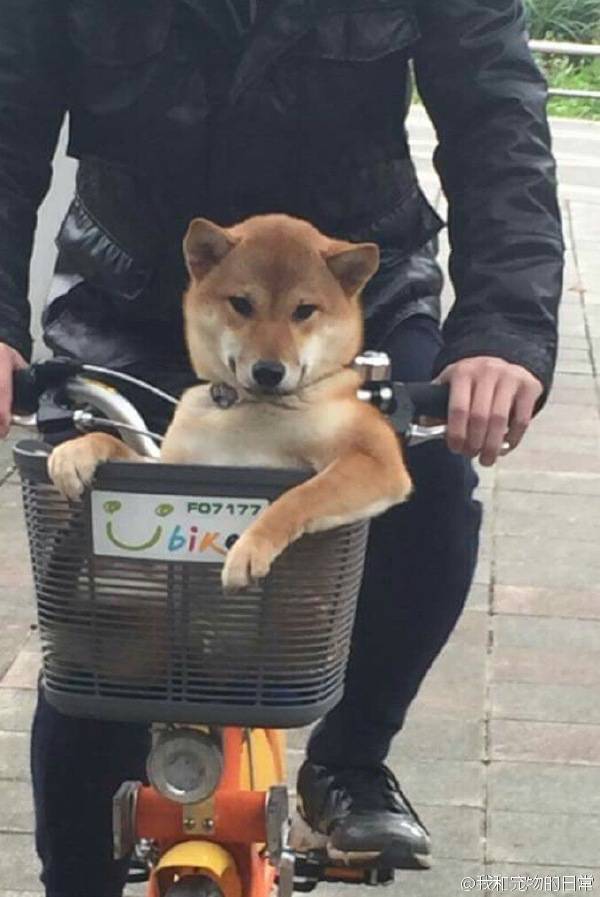 morning_picdump_913_640_high_13.jpg