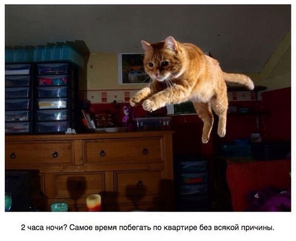 MpSyuqtDFX8.jpg